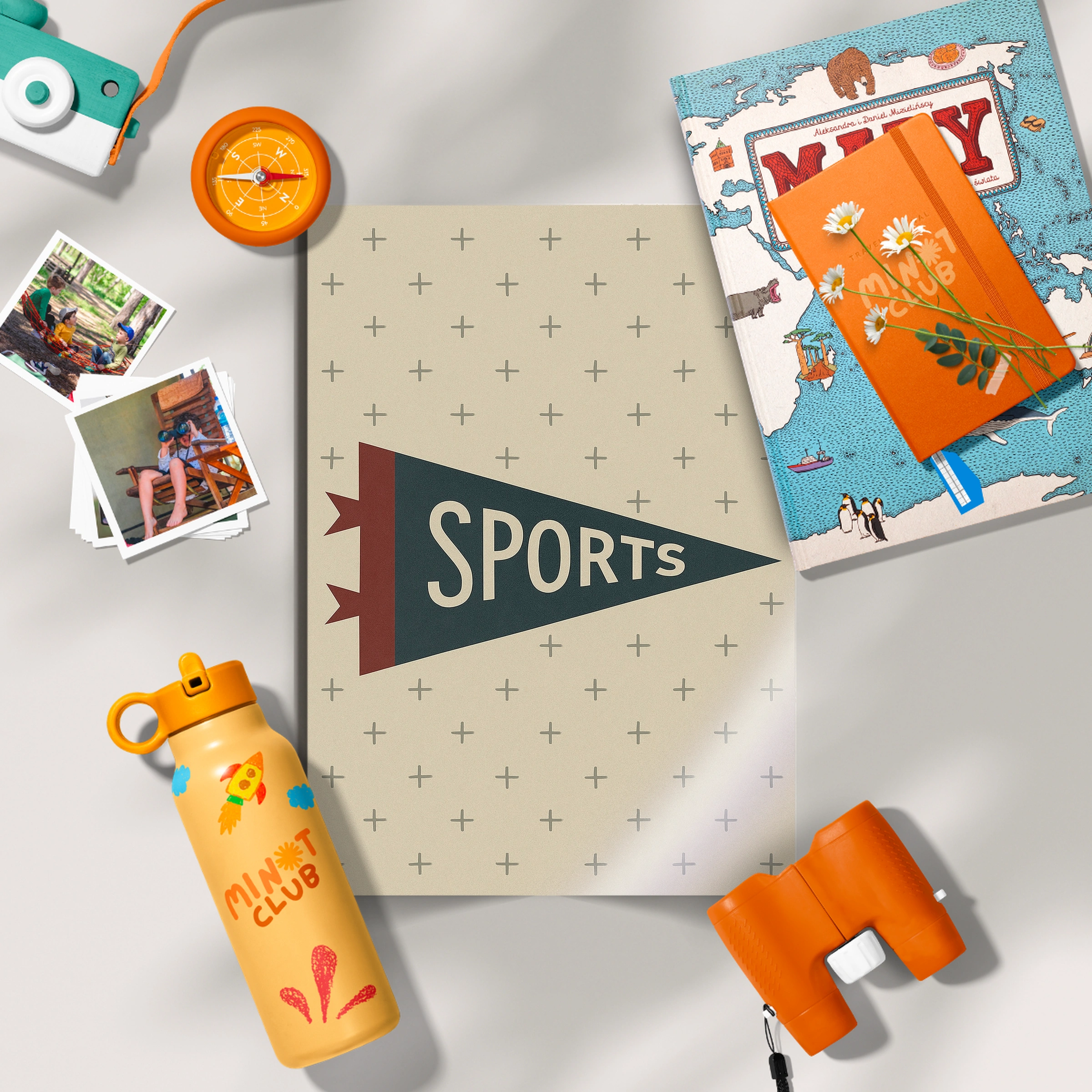 Sports Pennant Two Nursery Print