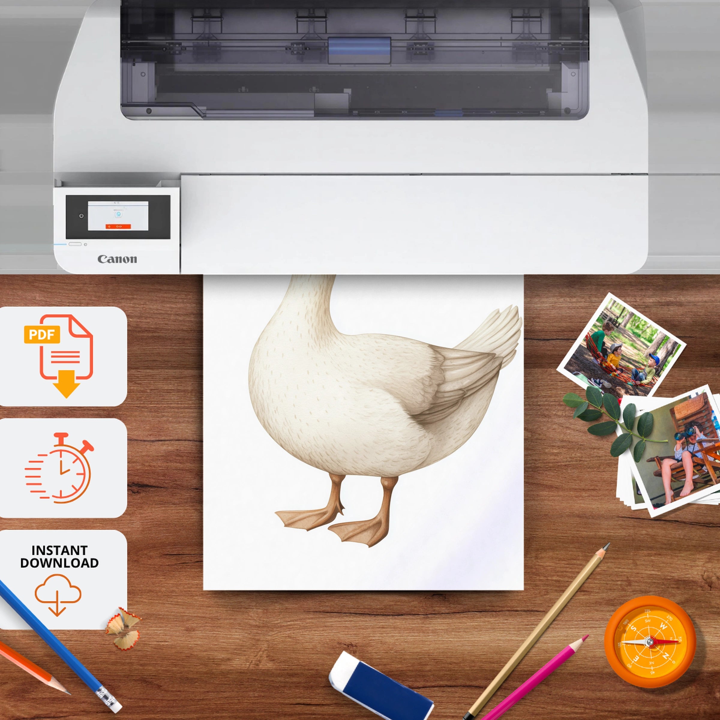 White Duck Nursery Print - printable nursery wall art, instant download to print at home